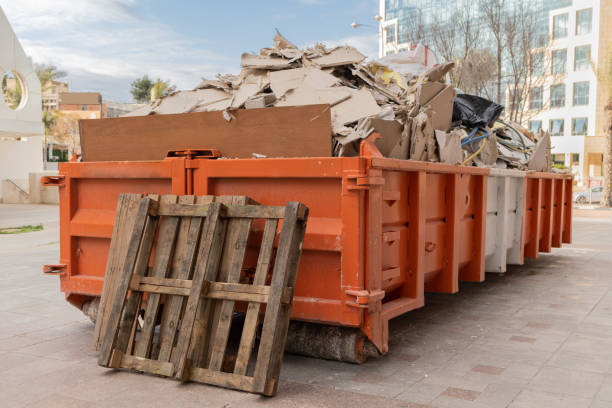 Best Recycling Services for Junk  in Donaldsonville, LA