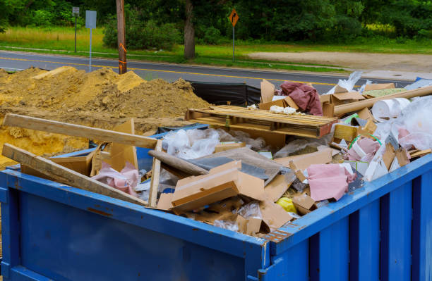 Best Recycling Services for Junk  in Donaldsonville, LA